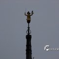 IMG_700220