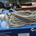 IMG_700255