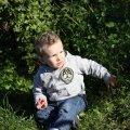 IMG_704682