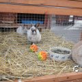 IMG_705247