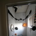 IMG_708952