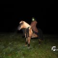 IMG_709604