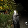 IMG_709811