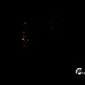 IMG_709096