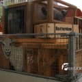 IMG_710578