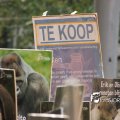 IMG_710583