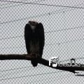 2010K00218