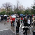 2010K00303