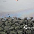 2010K00671