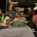 IMG_714099
