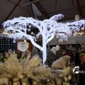 IMG_714120