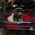 IMG_714140