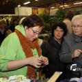 IMG_714156