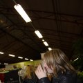 IMG_714231