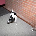 IMG_714388