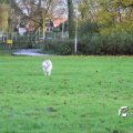 IMG_714983
