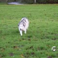 IMG_714985