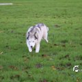 IMG_714986