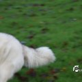 IMG_714989