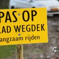 IMG_715029