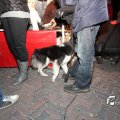IMG_716853