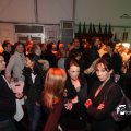 IMG_717136