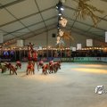 IMG_717185