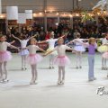 IMG_717941