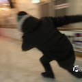 IMG_718499