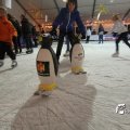 IMG_718509