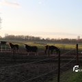 IMG_724927