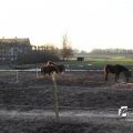 IMG_724931