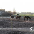 IMG_724932