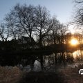 IMG_736798