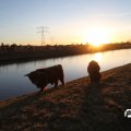 IMG_736826