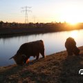 IMG_736827