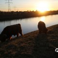 IMG_736828