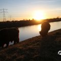 IMG_736829