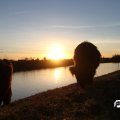 IMG_736830