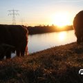 IMG_736831