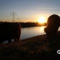 IMG_736832