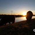 IMG_736834