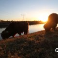 IMG_736835