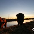 IMG_736837