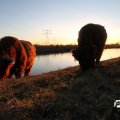 IMG_736839