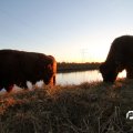 IMG_736842
