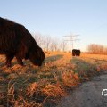 IMG_736847