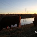 IMG_736872