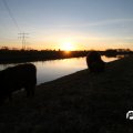 IMG_736886
