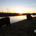 IMG_736887